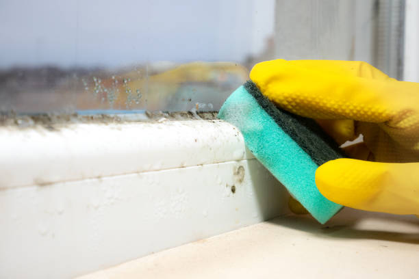 Best Mold Testing  in Centralia, IL