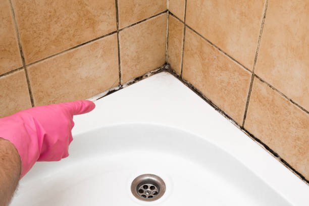 Best Professional Mold Removal  in Centralia, IL